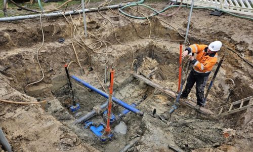 resized_no_distortion_image_3